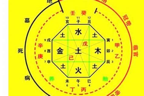 金輿貴人|八字神煞解析——金輿